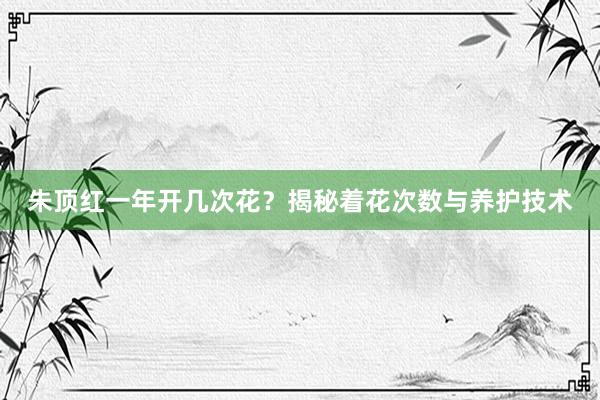 朱顶红一年开几次花？揭秘着花次数与养护技术